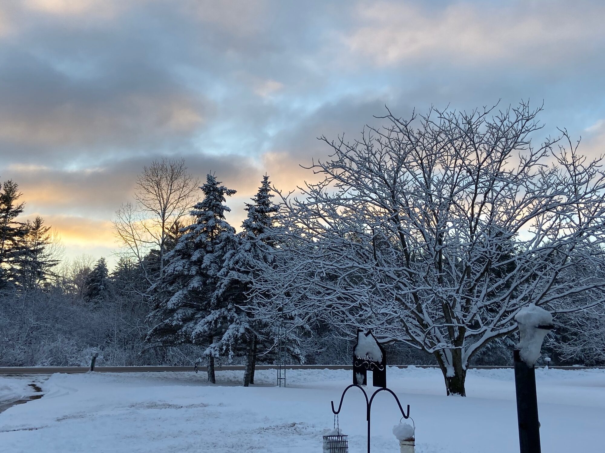 Winter sunset over snow-covered trees.